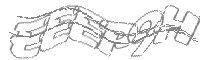 Check code